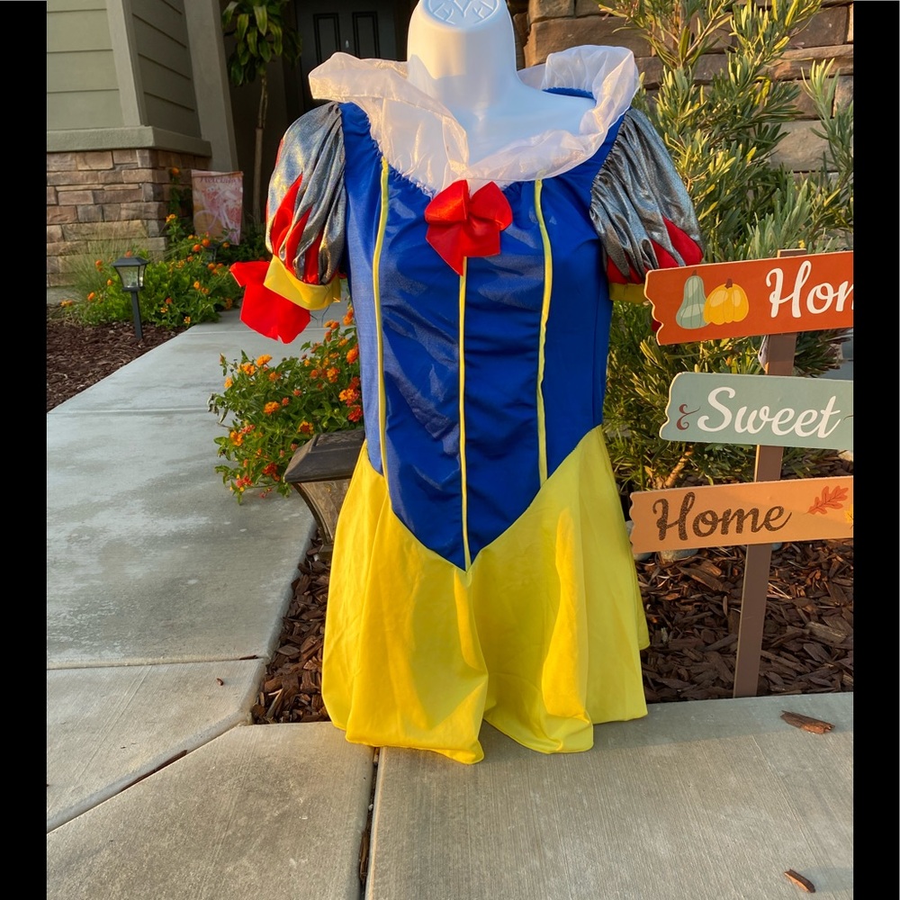 Snow White Costume
